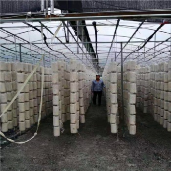 食用菌大棚 香菇大棚 蔬菜大棚 椭圆管大棚生产厂家