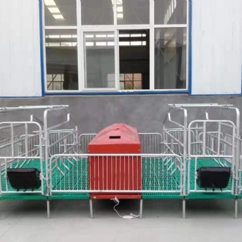 定做母猪双体产床猪用复合板单双体分娩床保育床两用定位栏养猪设备