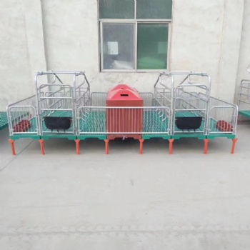 厂家母猪产床落地式，猪用复合板单双体分娩床保育床，两用定位栏养猪设备