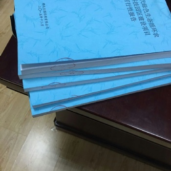 温州市、绍兴市代写项目融资报告