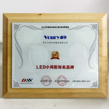 众望所归！Voury卓华加冕LED小间距**