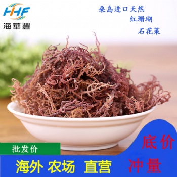 批发进口龙须菜麒麟菜海石花鹿角菜