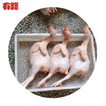 冷冻生鲜鸡产品白条鸡 蛋鸡老母鸡批发，种鸡老母鸡厂家 山东有路食品长期供应