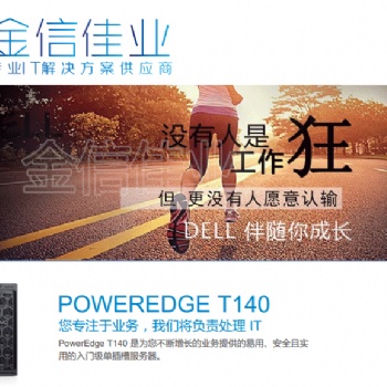 戴尔（DELL）T140塔式服务器主机台式电脑主机 T140 E-2124 四核