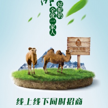 教你辨别真假骆驼奶的方法