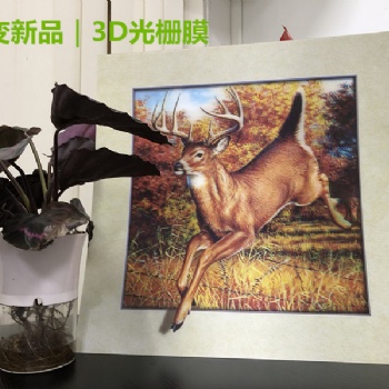 3D变幻卡、3D光栅立体画、裸眼3D光栅膜、厂家可定制