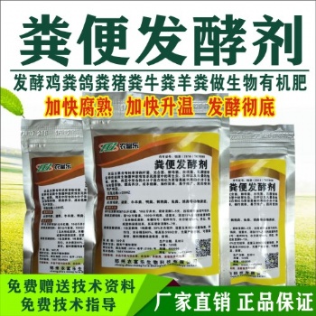 牛粪处理过来养蝇蛆产量高