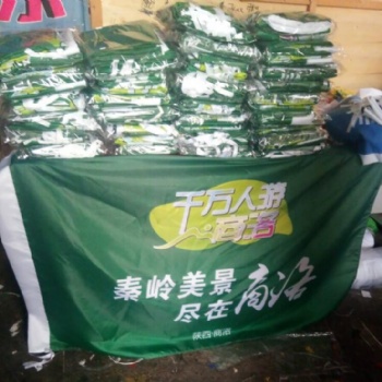 旗帜厂家 定做彩旗 广告旗 西安仿古旗设计定做