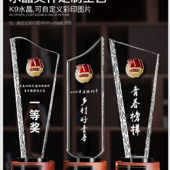 广州厂家现货实木水晶奖杯奖牌 青年志愿者纪念奖杯 爱心奖杯