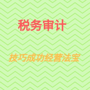 税务审计税务服务书诺财税