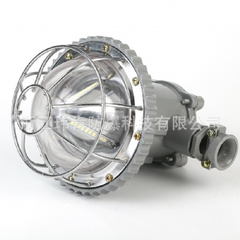 DGS18/127L矿用隔爆型LED巷道灯厂家批发价格