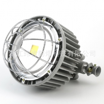 DGS50/127L矿用LED巷道灯 厂家批发价格
