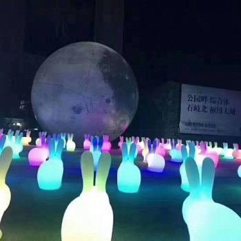璀璨光雕展 灯光映星空