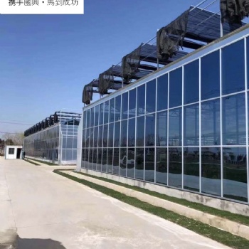 智能农业养殖温室与蔬菜大棚