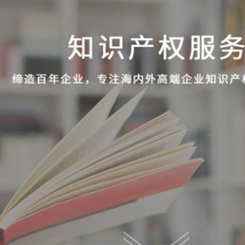 专利申请代理，专利申报服务，麦肯锡知识产权服务