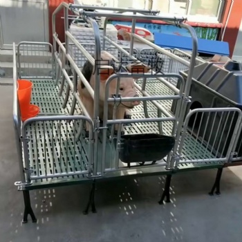 厂家母猪产床 供应单体母猪产床 母猪分娩床双体产床养猪设备