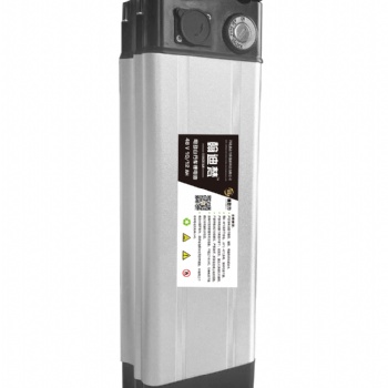 银鱼款 48v 10ah 电动车锂电池