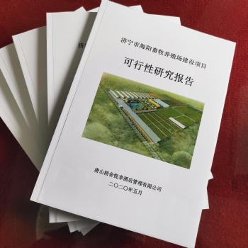 专业代写可行性研究报告、稳定风险评估、商业计划书
