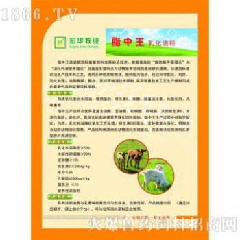 脂乳化油粉滨州宏华牧业