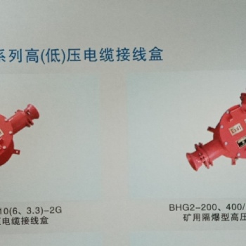 BHG2-400（200）/10-2G，BHG2-400（200）/10-3G矿用隔爆型高压电缆接线