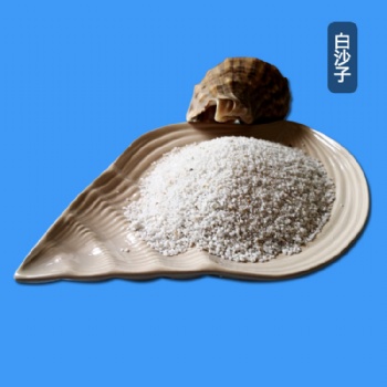 儿童乐园白沙子 圆粒白沙 游乐场用砂 儿童砂子