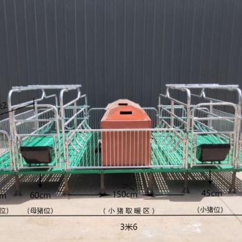 分娩床 养猪设备泊头厂家