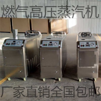 山东盛睿格蒸汽洗车机