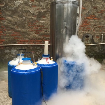 观澜10L液氮，冒烟冰淇淋液氮，液氮生产厂家零售，送货上门