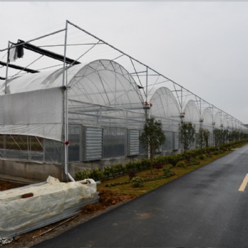 建达JD 连栋大棚 连栋温室大棚 薄膜连栋大棚
