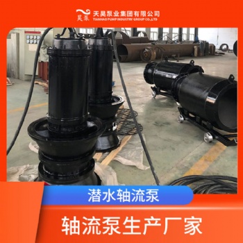 直径1米2的潜水轴流泵生产厂家