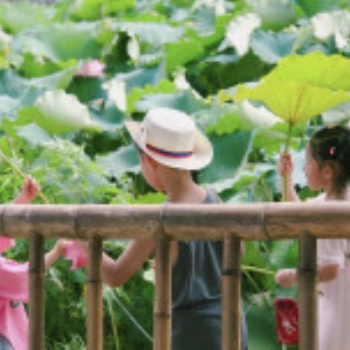 洪恩幼儿园胖仔农庄游-毕业季