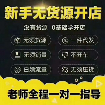 拼多多无货源店群软件代理加盟，运营技术免费教学