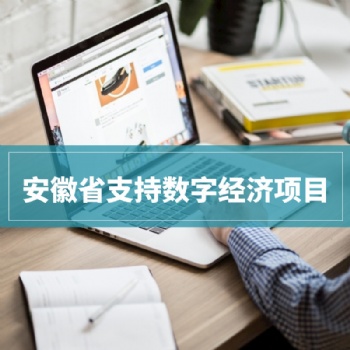 2020年安徽省支持数字经济15类项目申报条件条件解读
