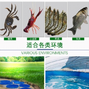 惠州拓翔大型户外帆布养殖水池可养各种水产高密度环保耐用防静电漏水耐寒