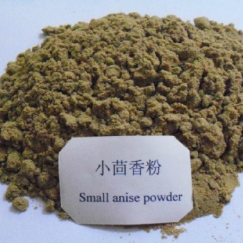 小茴香粉 调味品香辛料 实力厂家 琦轩食品 广东东莞