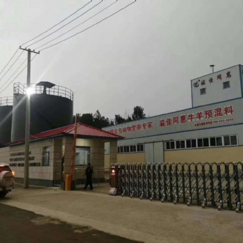 河北繁殖母牛预混料生产饲料厂家