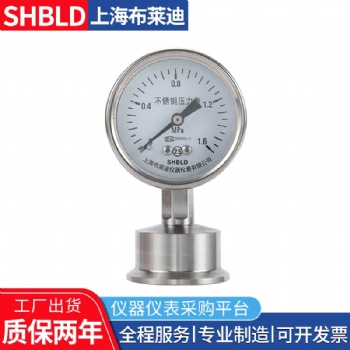布莱迪隔膜压力表YTP-75BST隔膜压力表全塑PTS-100AO