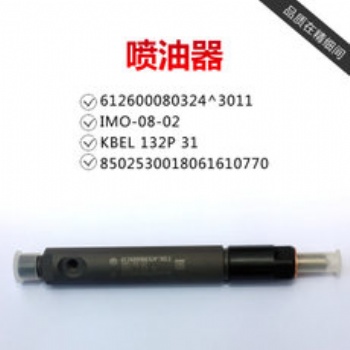 喷油器总成柴油车共轨轻卡大货车电喷