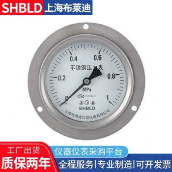 布莱迪YA-60B氨用压力表