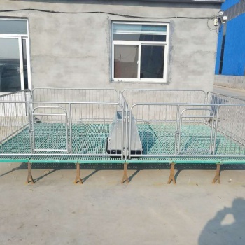 猪用保育床 畜牧养殖机械设备