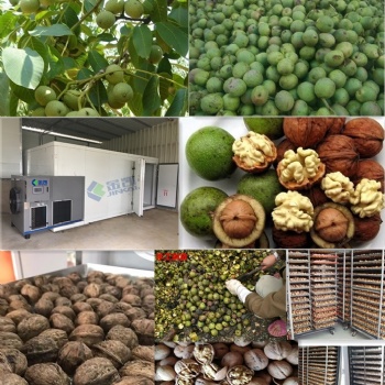 核桃烘干#广州金凯热泵烘干设备#烘干除湿一体机，坚果烘干