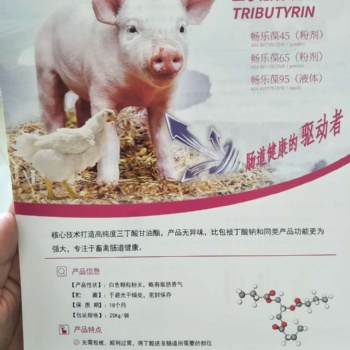 三丁酸甘油酯厂家加易加肠道健康