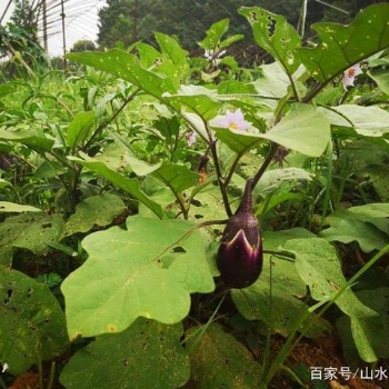 长沙周边可以野炊可以自己做饭的地方