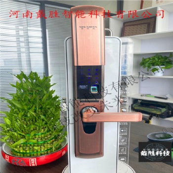 河南?；ㄇ际蟢08智能电子锁-厂家-河南戴胜智能科技有限公司