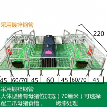 厂家供应热镀锌加厚母猪产床复合板母猪产床产床生产批发
