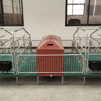 母猪产床-保质保量-厂家-2020**报价