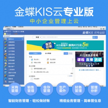 金蝶KIS云专业版V16.0总账+报表财务ERP软件