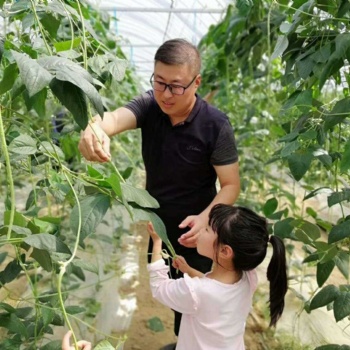 度假来胖仔农庄体验农家风情