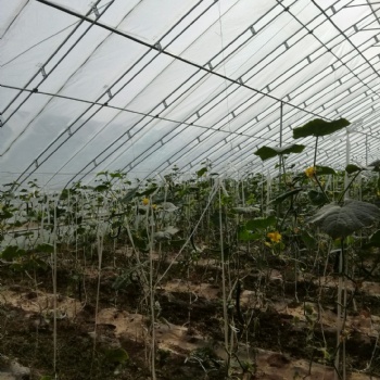 中国河北沧州新华区温室大棚配件等