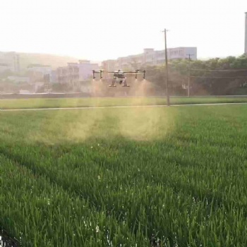 广东广西无人机马蹄花生玉米茶树打药服务